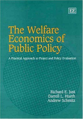 The Welfare Economics of Public Policy