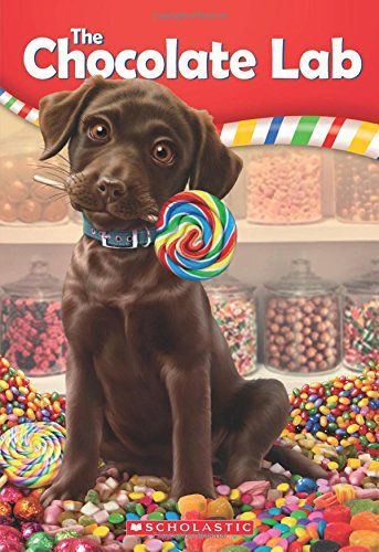 The Chocolate Lab (The Chocolate Lab #1)