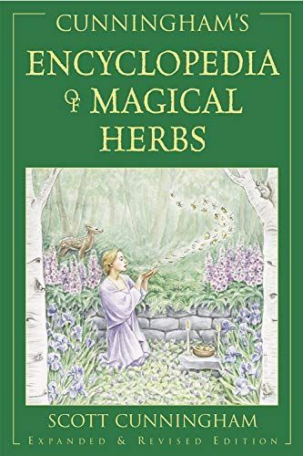 The Magical Power Of Herbs