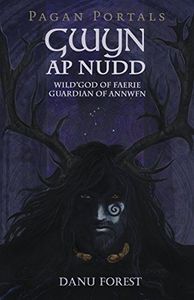 Pagan Portals - Gwyn ap Nudd