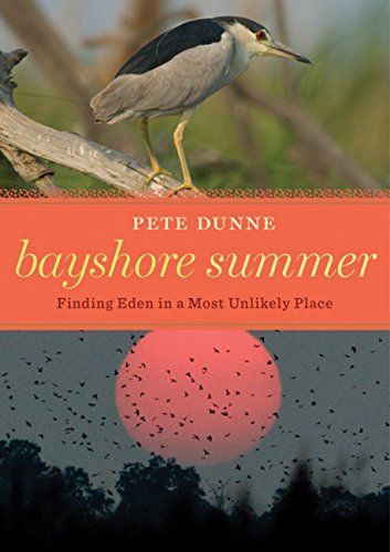 Bayshore Summer