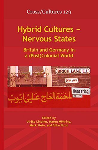 Hybrid Cultures, Nervous States