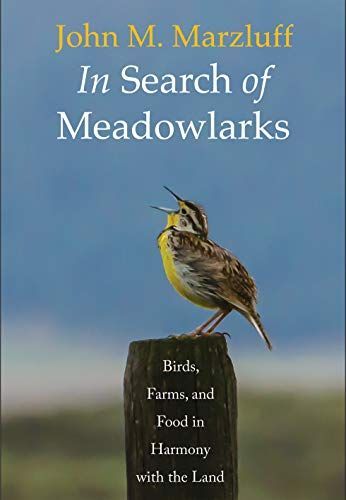 In Search of Meadowlarks