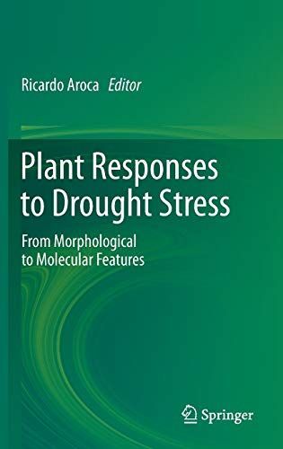 Plant Responses to Drought Stress