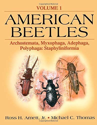 American Beetles, Volume II