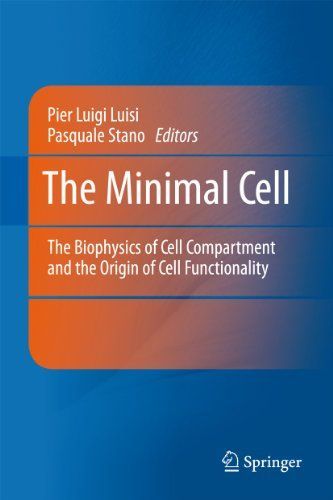 The Minimal Cell