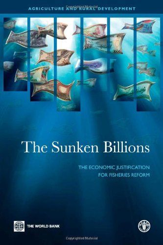 The Sunken Billions