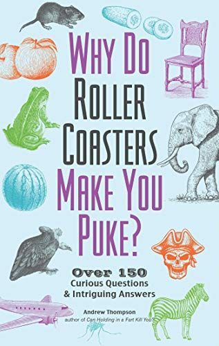 Why Do Roller Coasters Make You Puke?