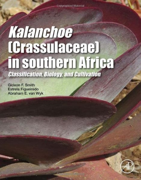 Kalanchoe (Crassulaceae) in Southern Africa