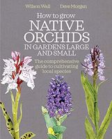 How to Grow Native Orchids in Gardens Large and Small