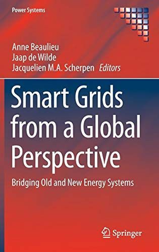 Smart Grids from a Global Perspective