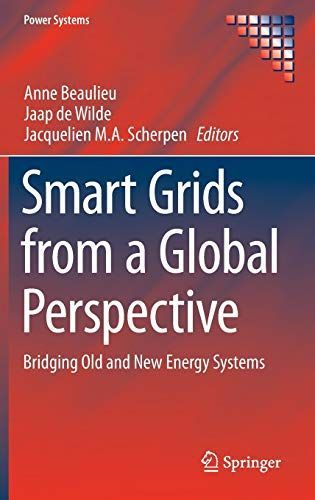 Smart Grids from a Global Perspective
