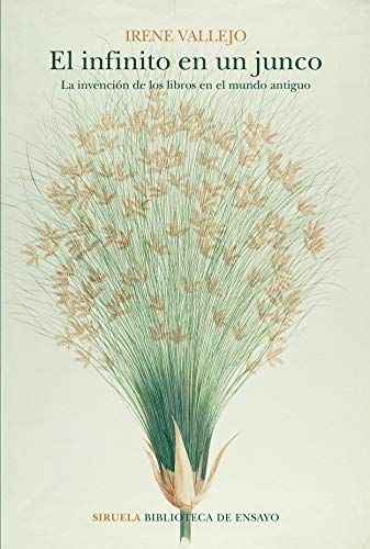 Papyrus