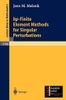 hp-Finite Element Methods for Singular Perturbations