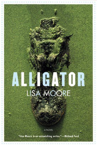 Alligator