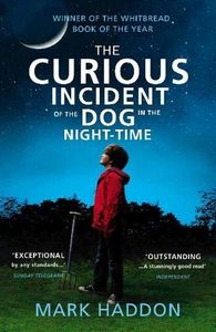 The Curious Incident of the Dog in the Night-time