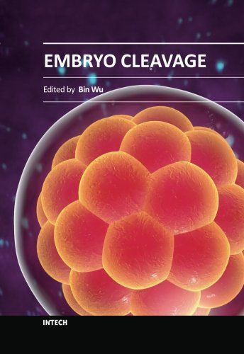 Embryo Cleavage