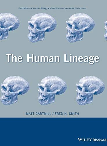 The Human Lineage