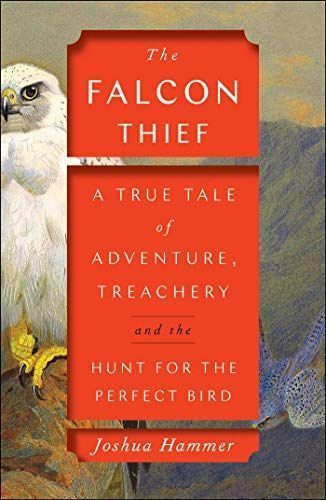 The Falcon Thief