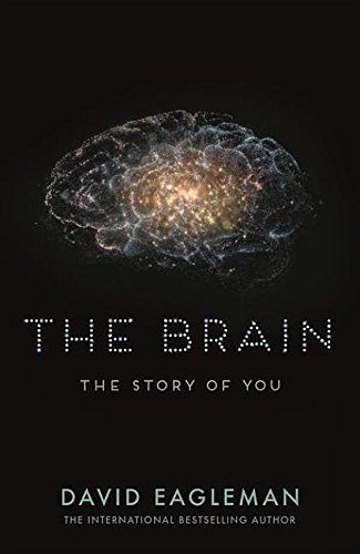 The Brain