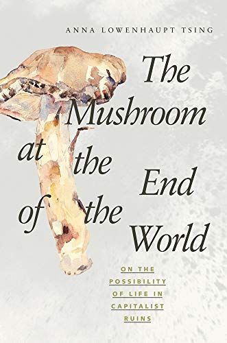The Mushroom at the End of the World