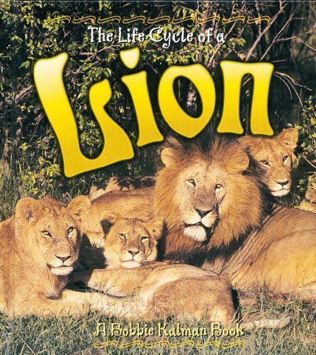 The Life Cycle of a Lion