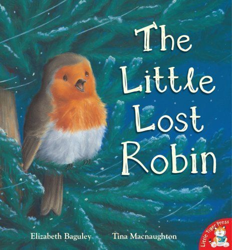 The Little Lost Robin