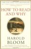 How to Read and Why