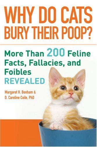Why Do Cats Bury Their Poop?