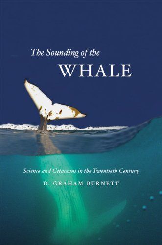 The Sounding of the Whale