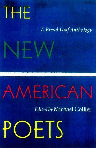 The New American Poets