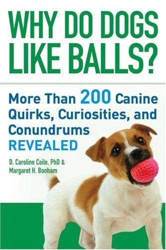 Why Do Dogs Like Balls?