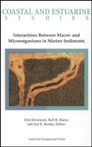 Interactions Between Macro- and Microorganisms in Marine Sediments