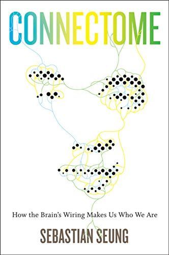 Connectome