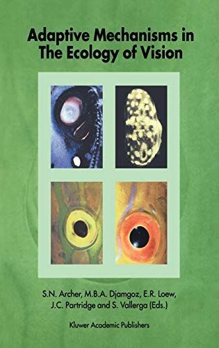 Adaptive Mechanisms in the Ecology of Vision