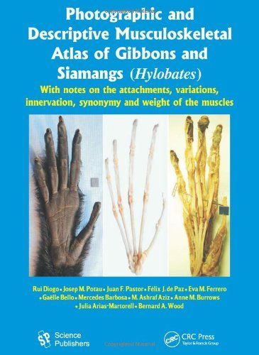 Photographic and Descriptive Musculoskeletal Atlas of Gibbons and Siamangs (Hylobates)