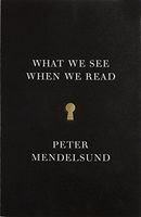 What We See when We Read