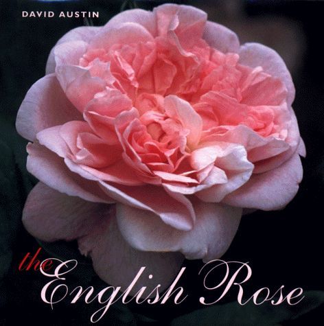 The English Rose