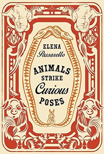 Animals Strike Curious Poses