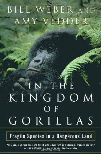 In the Kingdom of Gorillas