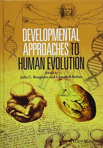 Developmental Approaches to Human Evolution