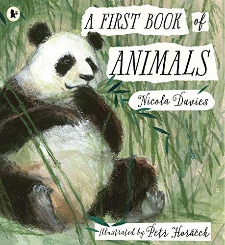 A First Book of Animals