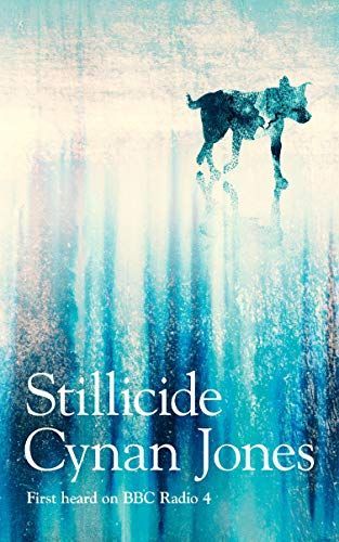 Stillicide