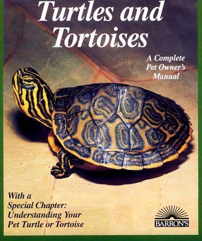 Turtles and Tortoises