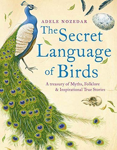 The Secret Language of Birds