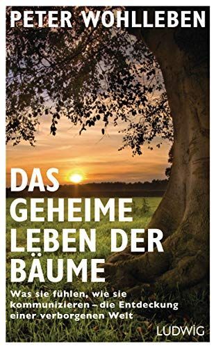 Das geheime Leben der Bäume