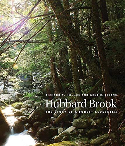 Hubbard Brook