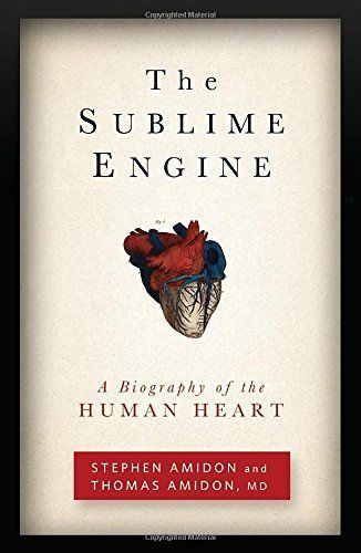The Sublime Engine