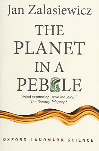 The Planet in a Pebble