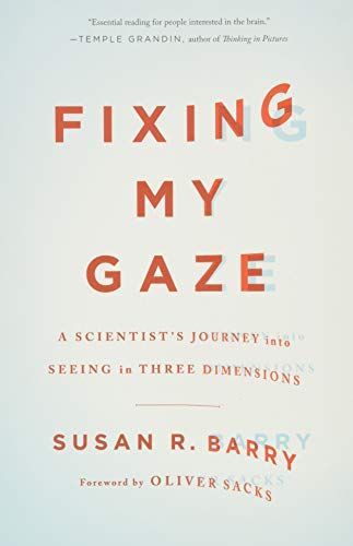 Fixing My Gaze